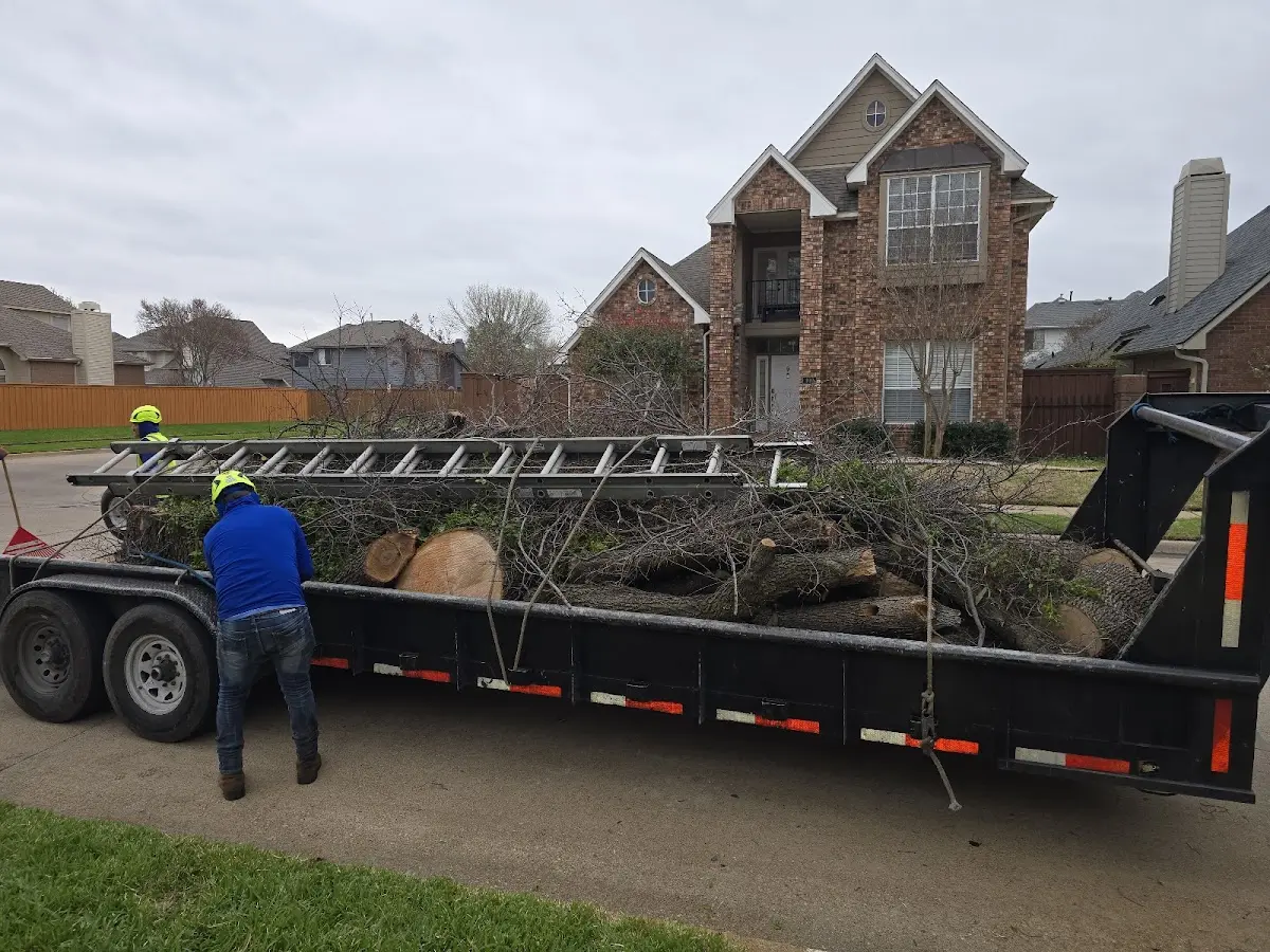 Expert Lot Clearing with proper safety equipment in Ragland